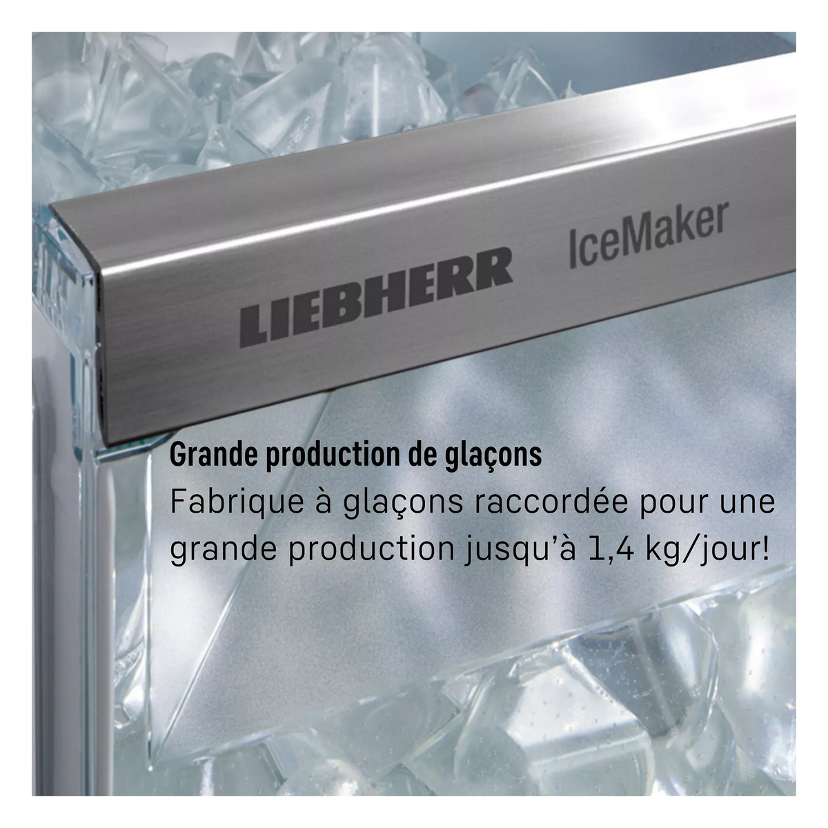 Réfrigérateur multi-portes LIEBHERR MBbsdi 9024-20 BioFresh