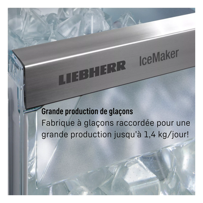 Réfrigérateur multi-portes LIEBHERR MBbsdi 9024-20 BioFresh